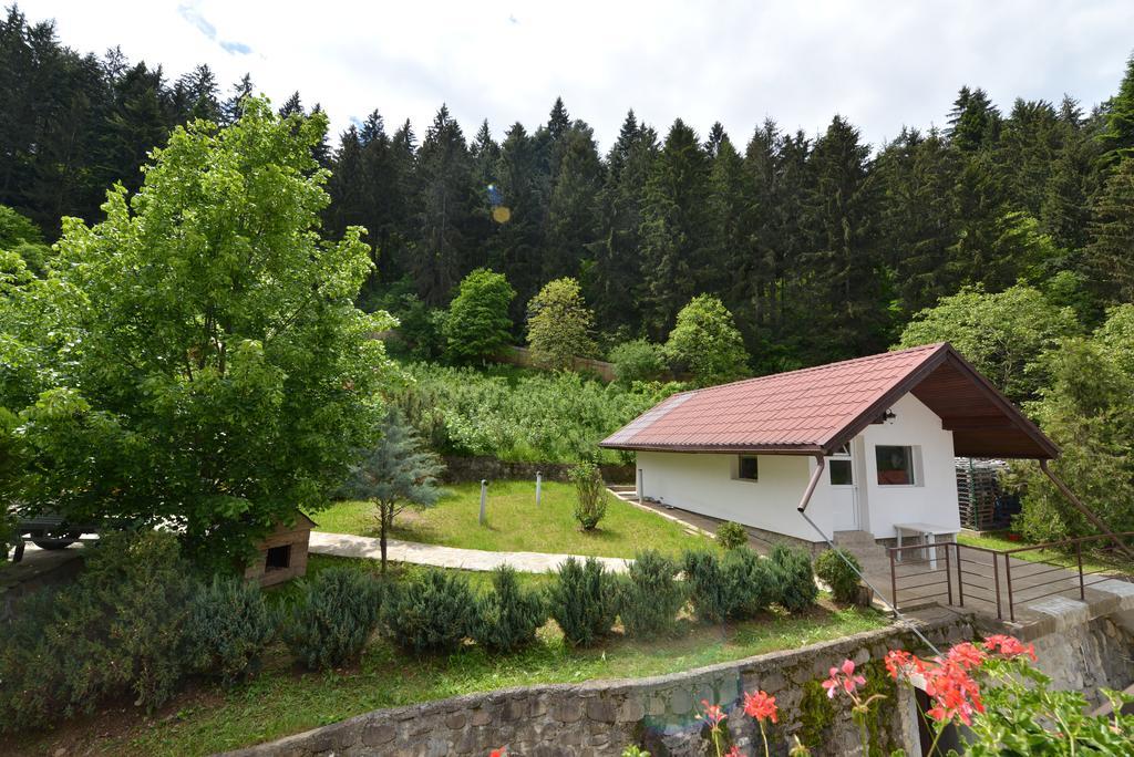 Pensiunea Drumul Plutasilor Hotel Alexandru cel Bun Exterior photo